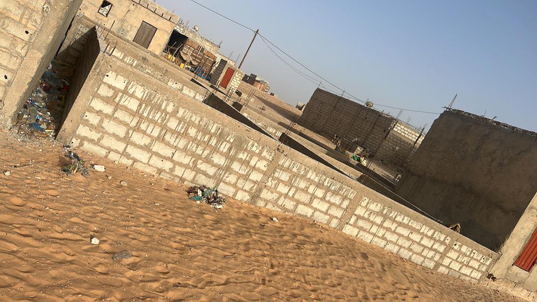 نيمرو في الترحيل
